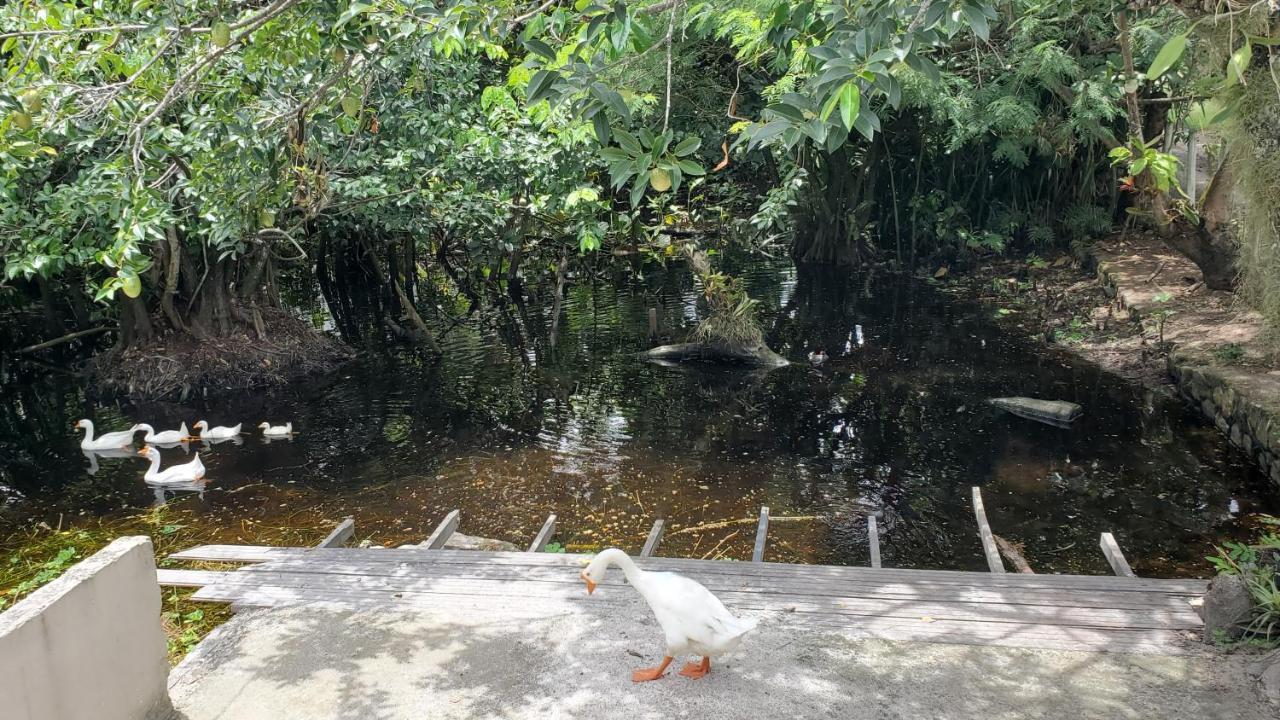 Casa Da Lagoa Porto Seguro Ngoại thất bức ảnh